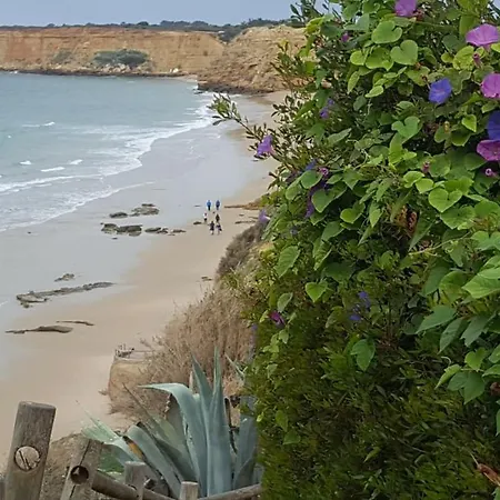 Playa El Roqueo Apartamento Conil De La Frontera